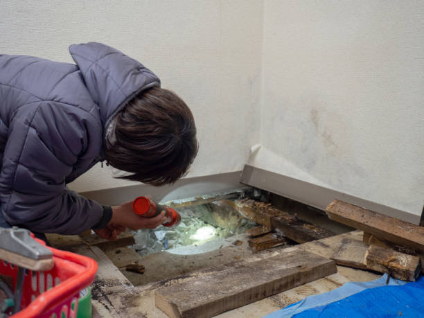 Best Comprehensive Air Testing for Mold Contaminants  in South Hooksett, NH