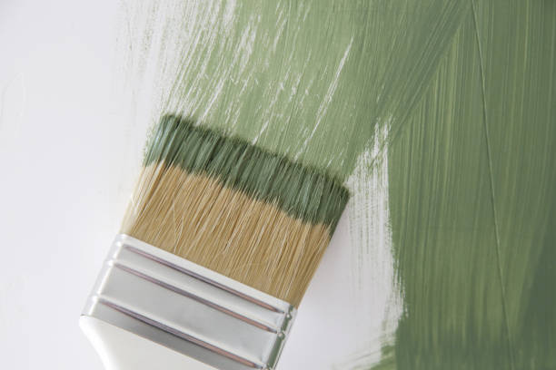 Mold Remediation for Rental Properties in South Hooksett, NH