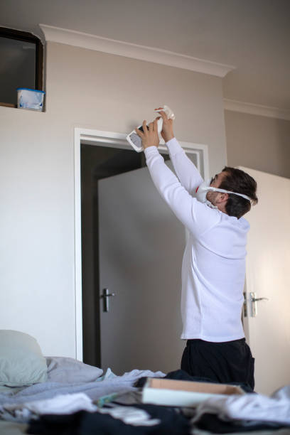  South Hooksett, NH Mold Removal Pros