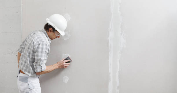 Best Mold Documentation for Insurance Claims  in South Hooksett, NH