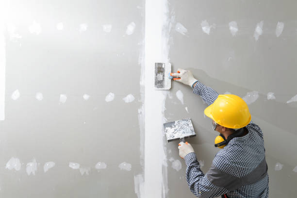 Best HVAC Mold Inspection and Cleaning  in South Hooksett, NH
