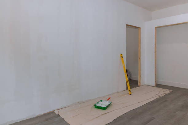 Best Mold Remediation for Healthcare Facilities  in South Hooksett, NH