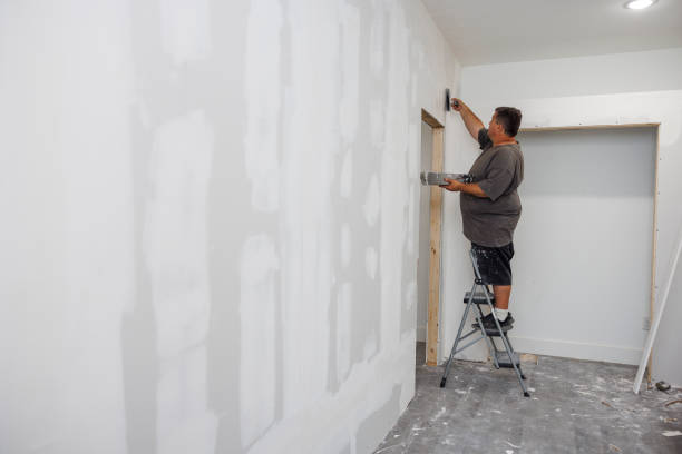 Best Biohazard Mold Removal  in South Hooksett, NH