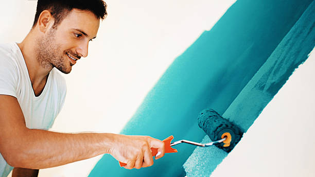 Best Emergency Mold Remediation  in South Hooksett, NH
